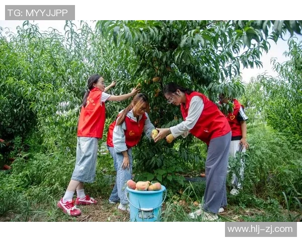 城市青年返乡创业潮涌现 乡村振兴助力下的新机遇与挑战